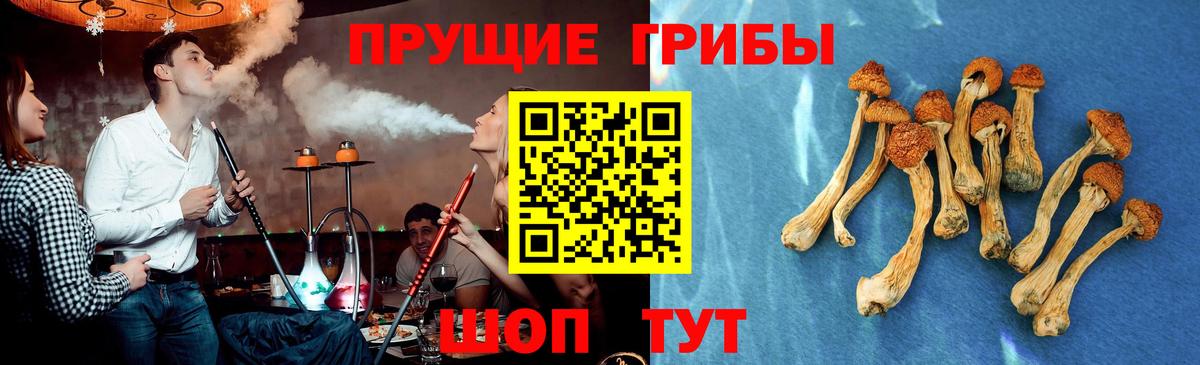 Галлюциногенные грибы Cubensis  Вход с VPN  Бугульма 